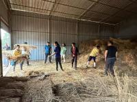 Kara Seva at Kembre Farm - Kara Seva Shivir 2025, SCM Shirali - Day 6 (02 Jan 2026) Pictures Courtesy Chitrapur Yuvadhara